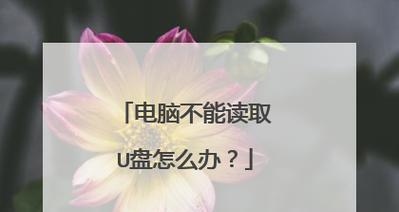 U盘无法在电脑上读取怎么办？有哪些修复步骤？